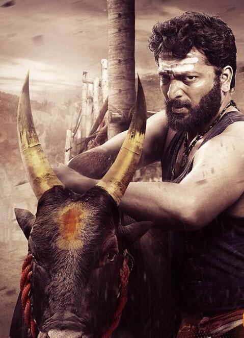 Jallikattu