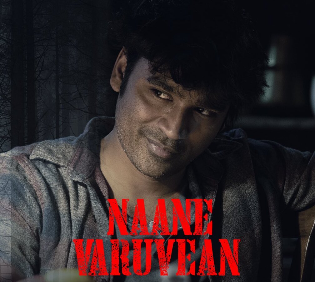 Nene Vasthunna